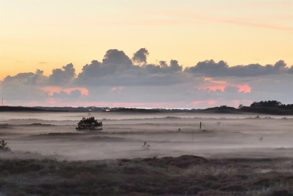 Sommerhus til 4 personer ved Rømø, Kongsmark