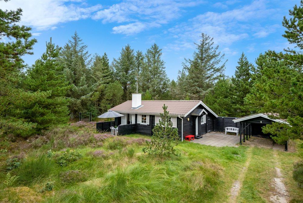 Sommerhus til 4 personer ved Blåvand
