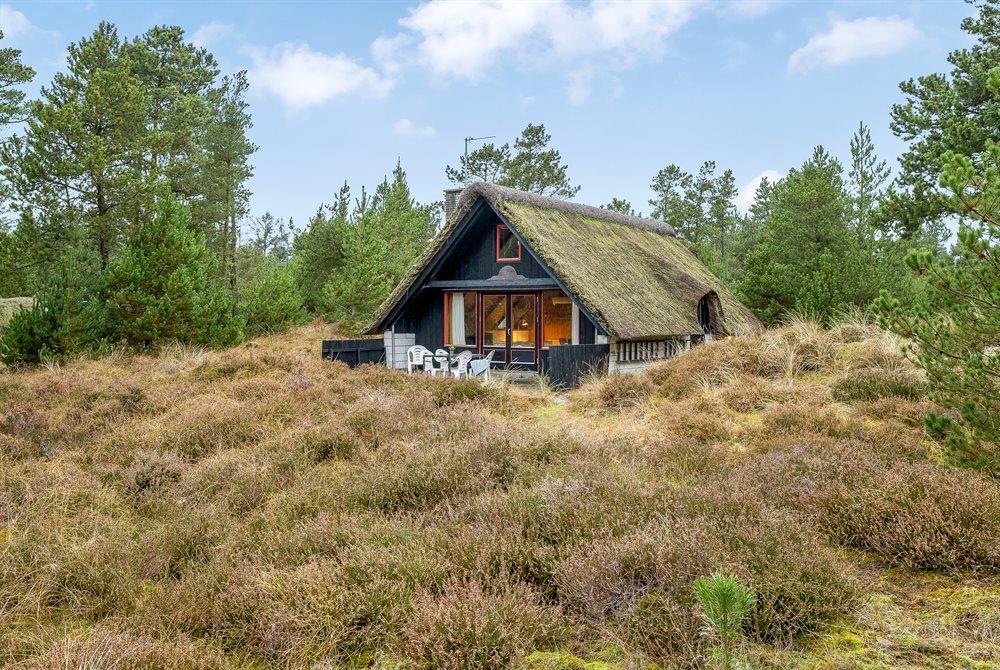 Sommerhus til 5 personer ved Blåvand
