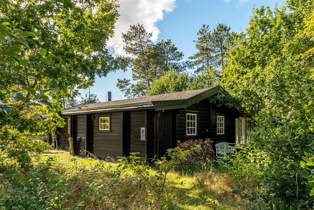 Sommerhus til 4 personer ved Ålbæk