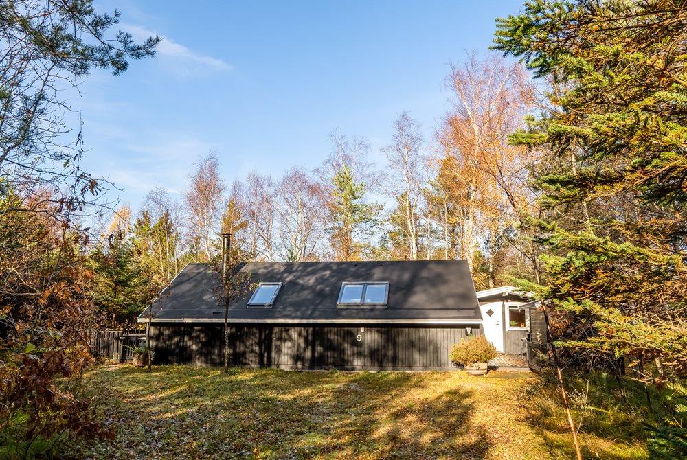 Sommerhus til 6 personer ved Læsø, Nordmarken