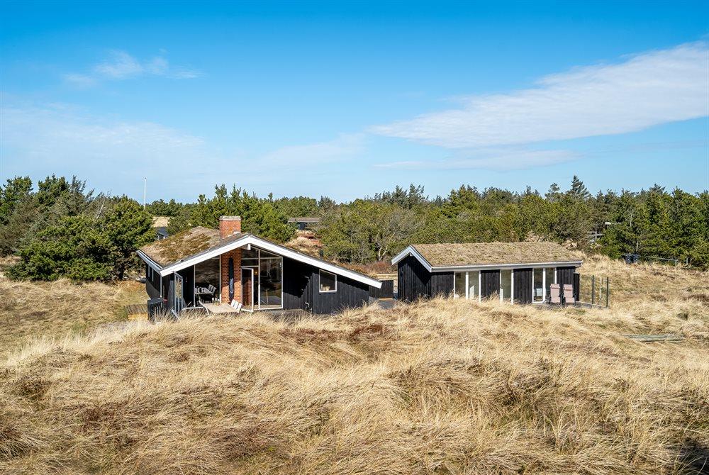 Sommerhus til 6 personer ved Saltum
