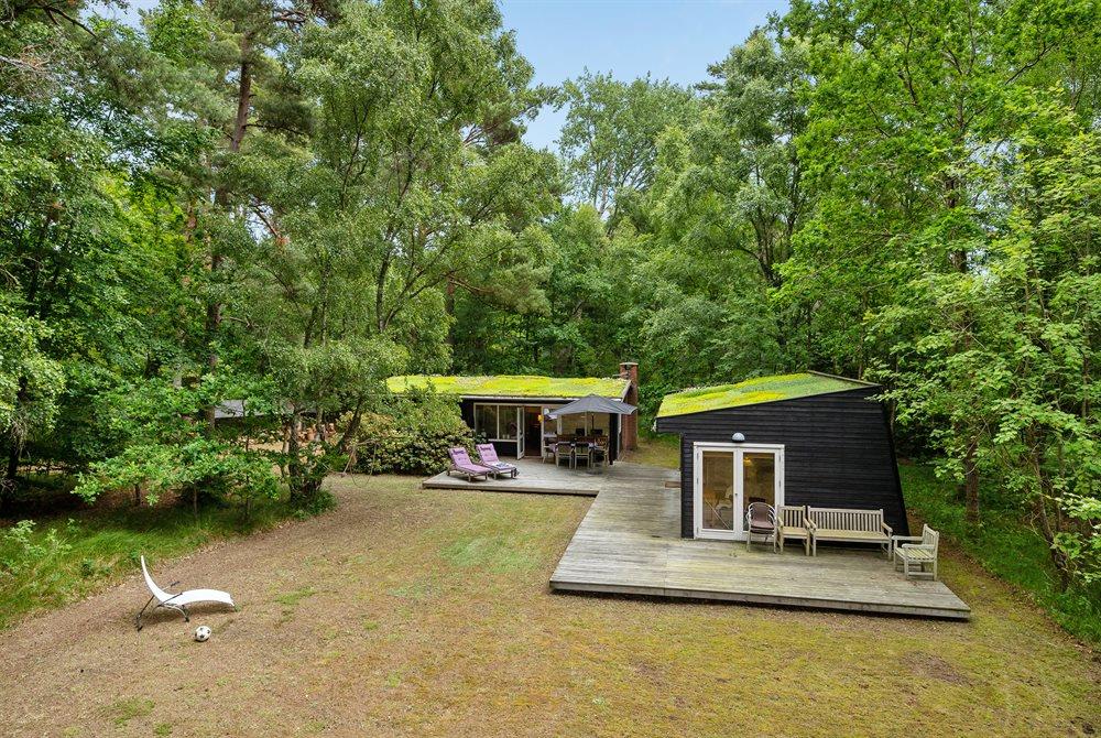Sommerhus til 4 personer ved Asserbo Plantage