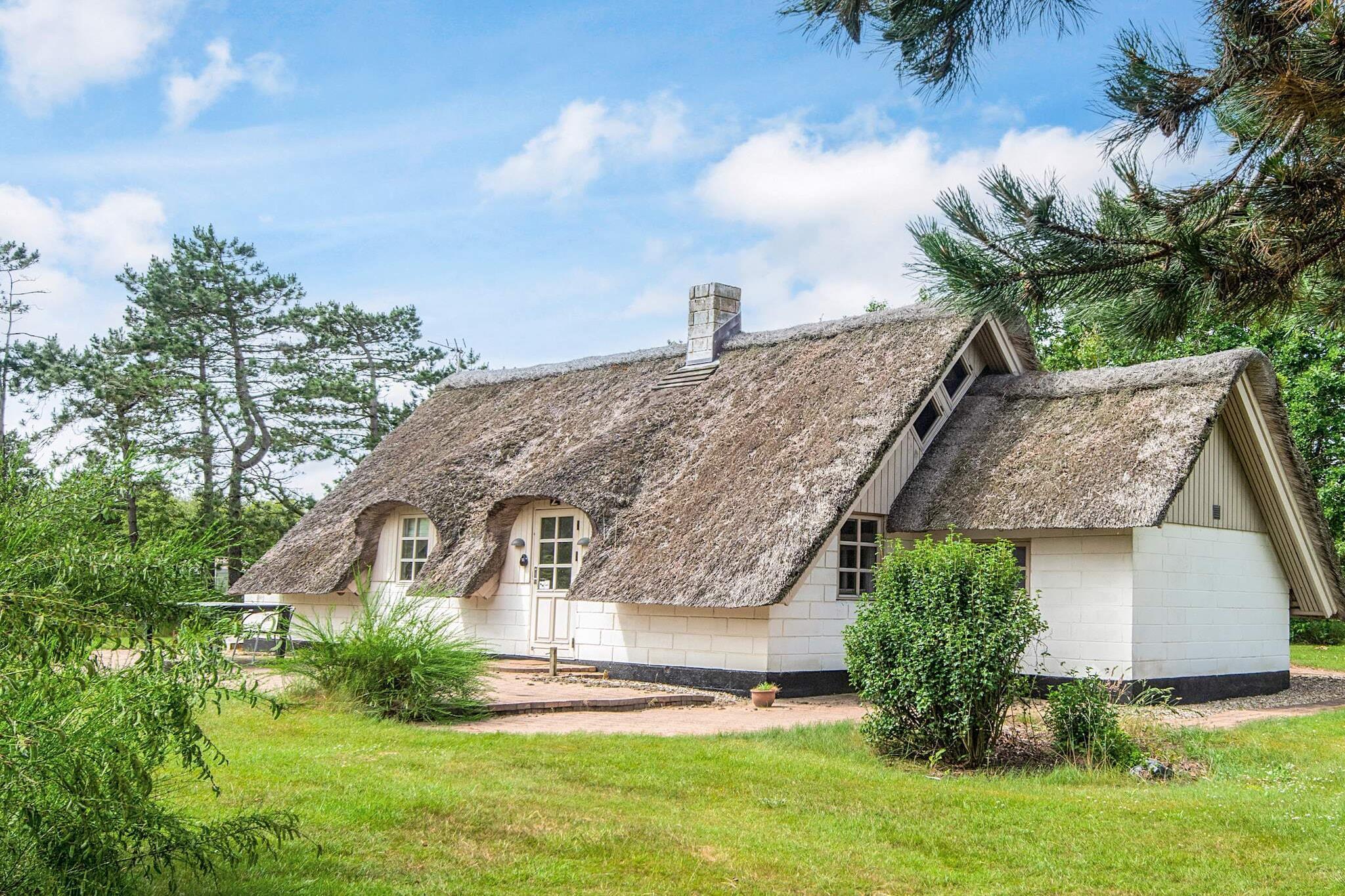 Sommerhus til 5 personer ved Ringkøbing