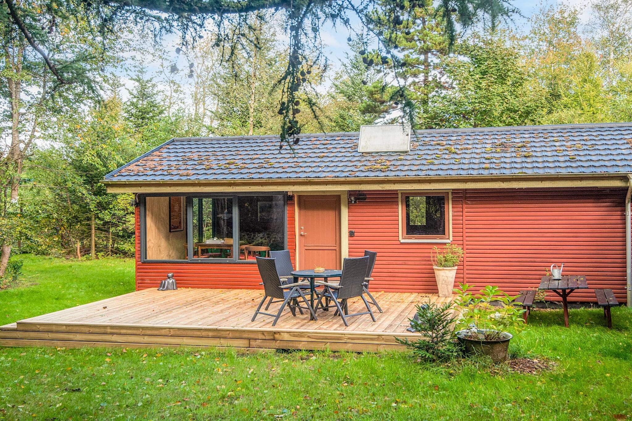 Sommerhus til 4 personer ved Ry