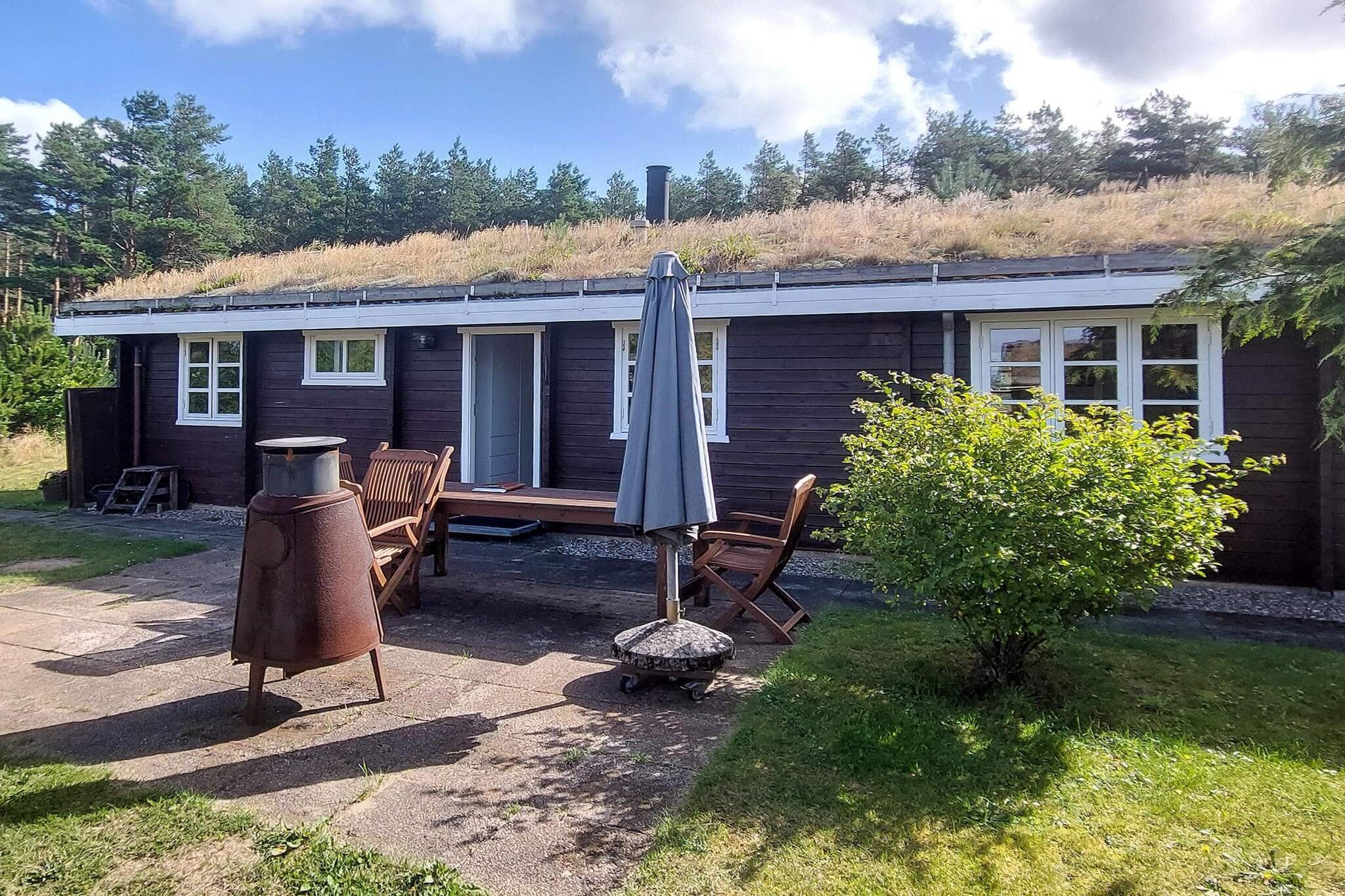 Sommerhus til 6 personer ved Brovst